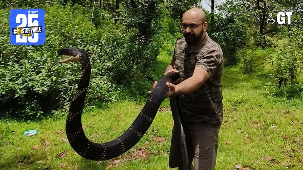What to do if you spot a snake in Goa during the monsoons| Gomantak Times