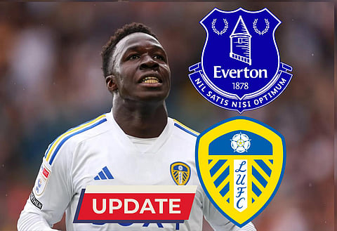 Everton could now sell players in order to complete Willy Gnonto transfer from Leeds United with personal terms agreed