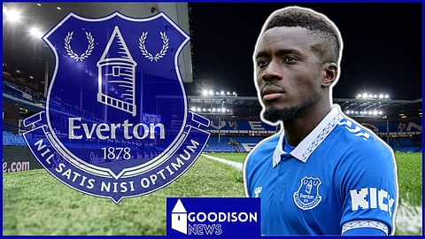 Idrissa Gueye has been a regular for Everton