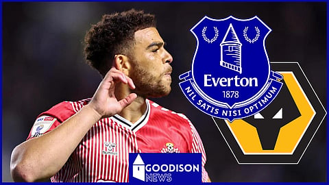 Che Adams has attracted interest from Everton and Wolves