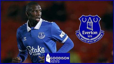 Abdoulaye Doucoure has been key under Sean Dyche at Everton
