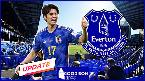 Everton have been linked with a move for Fortuna Dusseldorf's Ao Tanaka