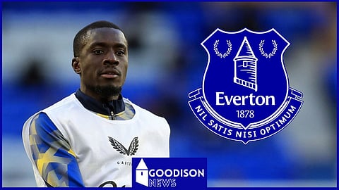 Everton ace Idrissa Gueye [Credit: Imago]