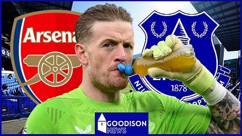 Jordan Pickford was "oustanding" for Everton v Arsenal [Credit: Imago]