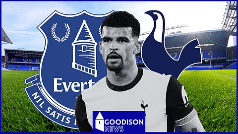 Tottenham star Dominic Solanke has been ruled out for the Everton clash (Credit: Imago)