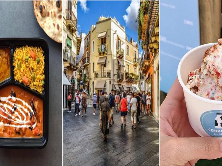 1.2044131-2619558610