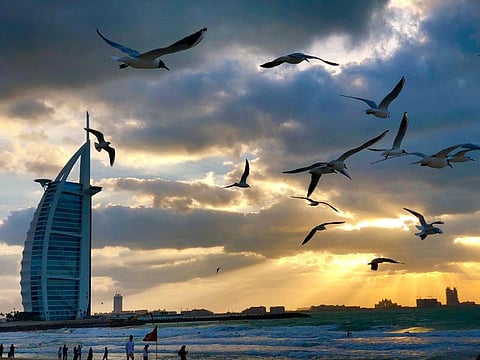 Dubai Municipality rolls out 50 solar fountains to advance environmental goals