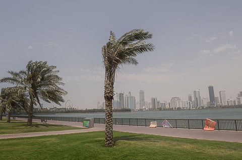Cloudy skies, cooler temperatures and blowing dust to mark UAE weekend