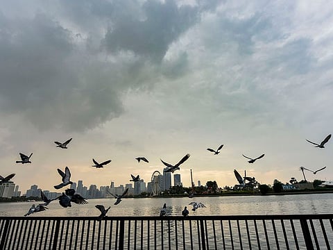 Humidity to rise overnight with misty mornings likely; winds may cause dust and sand across exposed areas as conditions shift midweek.
