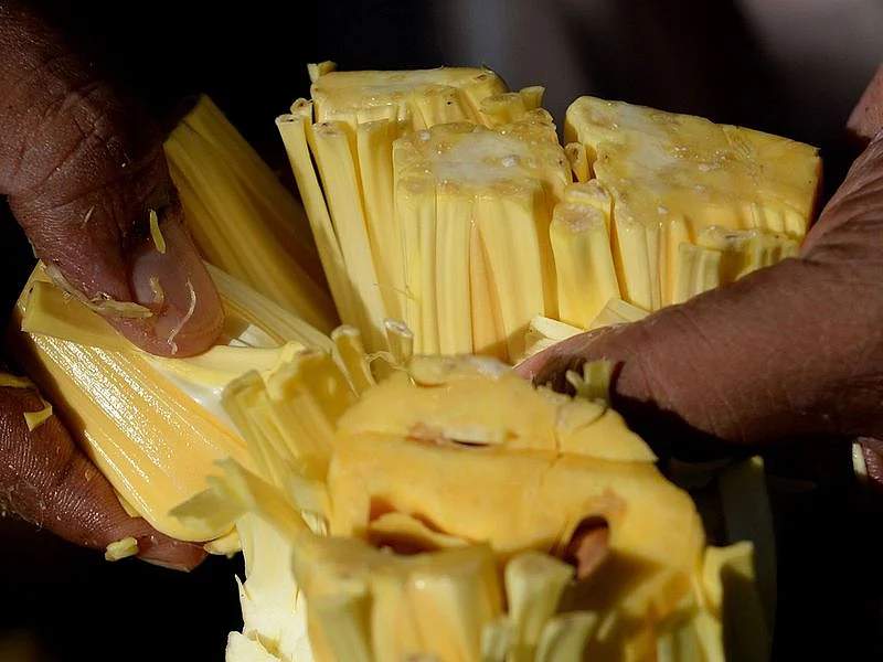 India's 'superfood' jackfruit goes global