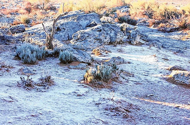 People may think of the UAE as being nothing but a hot desert, but it can get cold, especially in the north. In the winter months, Jebel Jais in Ras Al Khaimah has become snow-capped, with temperatures occasionally dropping below freezing. 
