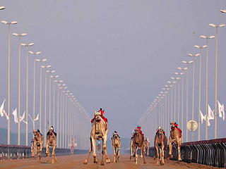 Camels equipped with robot jockeys race at Dubai's Al Marmoom heritage village. Camel racing has become part of a wider national story about how heritage can be protected, developed and presented to the world.