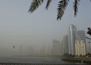 Dust storms and strong winds hit parts of the UAE on Tuesday. 