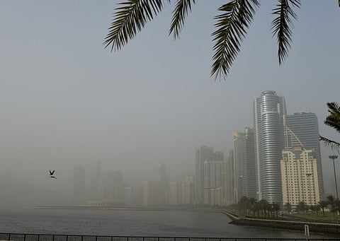 Dust storms and strong winds hit parts of the UAE on Tuesday. 