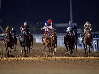 The Dubai World Cup is back on Saturday! 