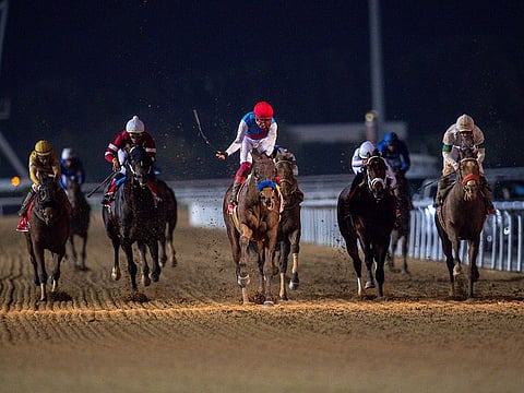 The Dubai World Cup is back on Saturday! 