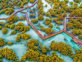 Comprehensive plan covers land, marine, and coastal biodiversity, promoting sustainability and innovation