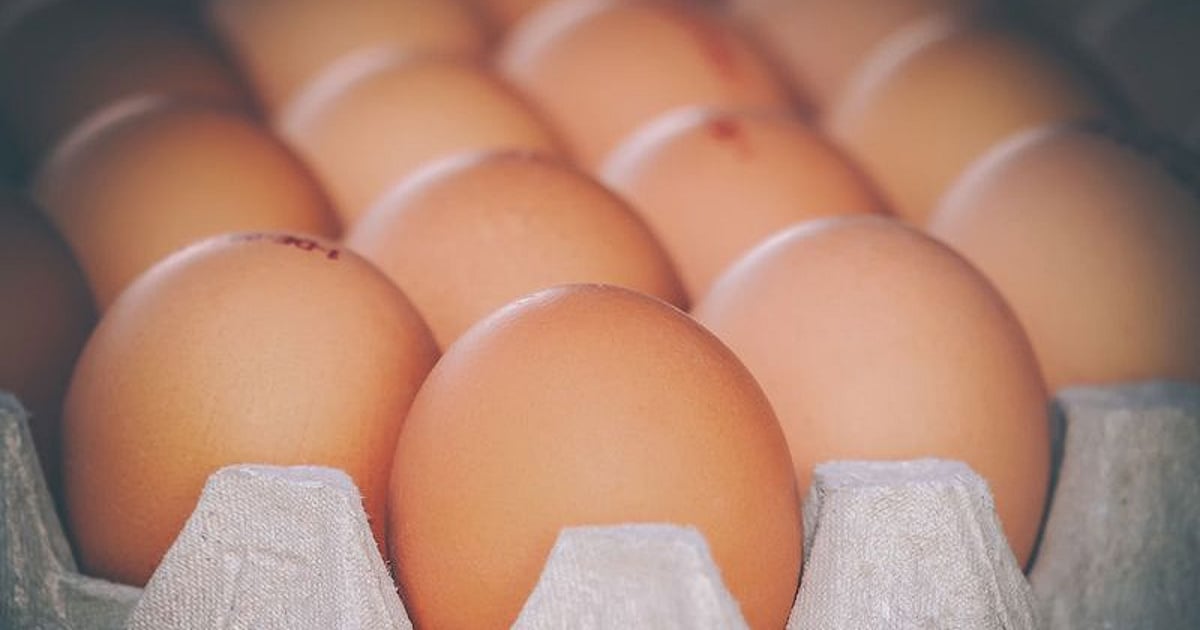 US Egg Producers to Donate 53 Million Eggs to Food Banks