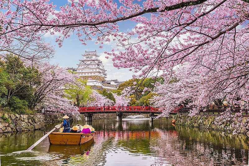 Himeji Castle in Japan in spring season