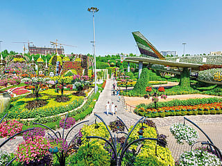 Avoid traffic: RTA warns of delays near Miracle Garden