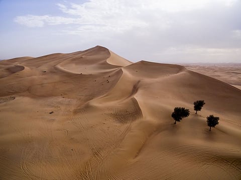 Sweihan desert, Liwa