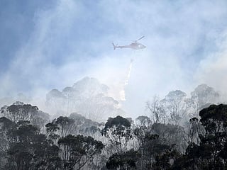 A helicopter from the Armed Forces drops water to put out a forest fire in Bogota on January 23, 2024. At least four active forest fires hit several regions of Colombia and the capital Bogota this Tuesday, amid a wave of conflagrations due to high temperatures derived from the El Niño phenomenon, authorities reported.