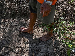 El Nino is set to become “very strong” in the months ahead, the UN has warned.