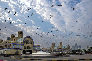 Expect coastal humidity and patchy fog across UAE next week