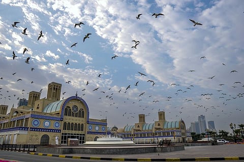 Expect coastal humidity and patchy fog across UAE next week