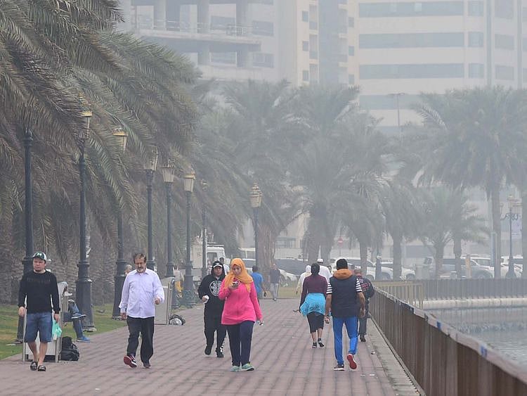 Winter in the UAE