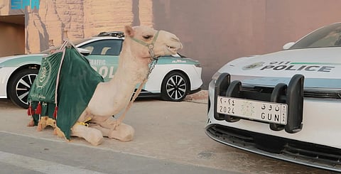 Security facilities have remarkably developed in Saudi Arabia over the years according to a current exhibition.