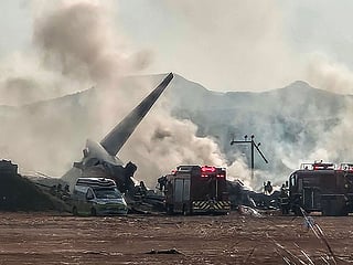 What is a bird hit and how hazardous is it? What we know about Jeju Air plane crash in South Korea