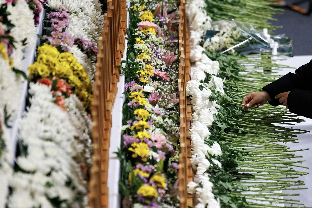  A mourner lays a flower at a memorial for the victims of the Jeju Air Co. Flight 2216 crash in Muan County, South Korea, on Monday, Dec. 30, 2024.