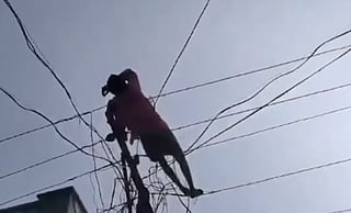 Man takes nap on electric wire, video goes viral 