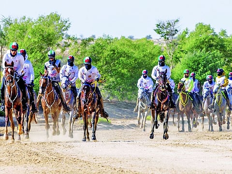 The Dubai Crown Prince Endurance Festival comprises four rides starting with the 101-km Dubai Crown Prince Ride for Ladies on January 7.
