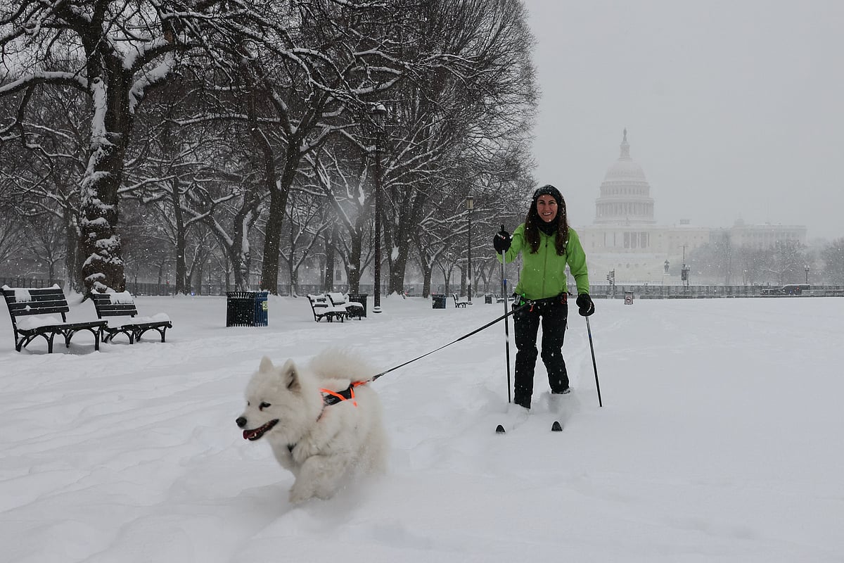 A woman on skis walks her dog along the National Mall as snow falls during a winter storm in Washington, DC.