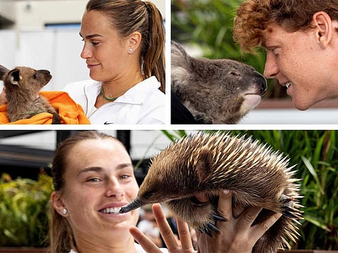 Aryna Sabalenka, Jannik Sinner get up close with Australian wildlife 