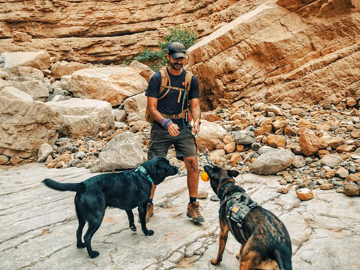 Pet-friendly hikes