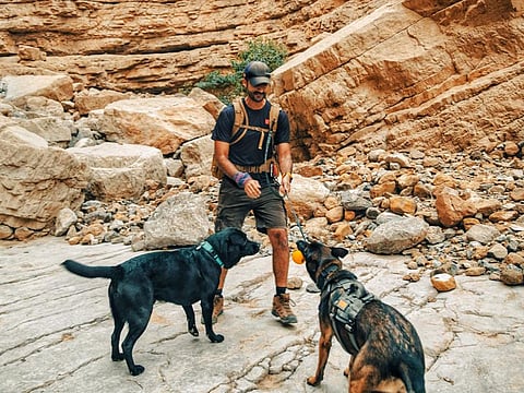 Hussain Darwish, a Dubai-based businessman, has been hiking with his dogs in the UAE since 2008-2009.