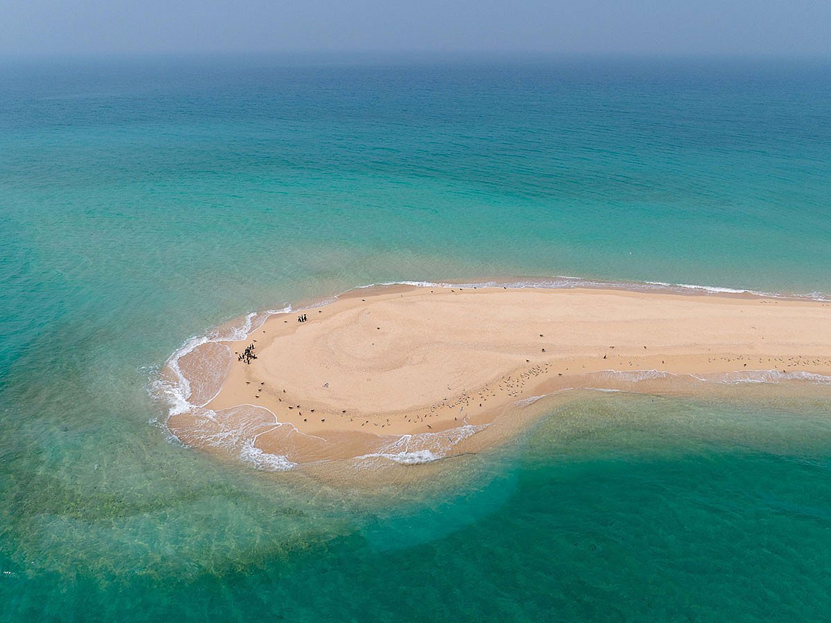 Sir Bu Nair Island, located 110km north of Sharjah, is a haven for rare seabirds and wildlife
