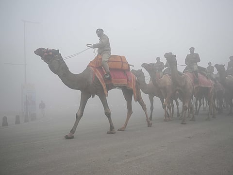 Border security force (BSF) camel mounted soldiers take part in rehearsals for the upcoming Republic Day parade amid dense fog on a cold winter morning, in New Delhi.