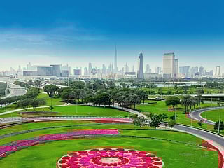 Dubai ranks world’s cleanest city for fifth year in a row