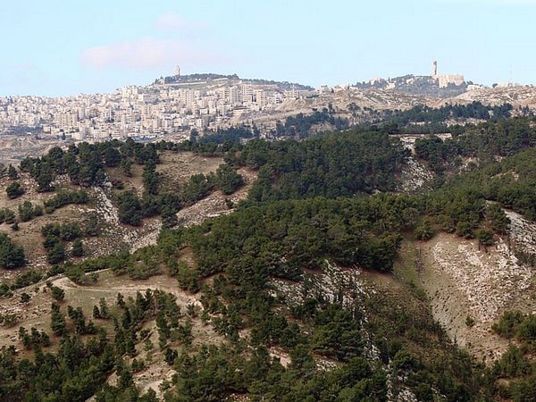 Representative Image (Photo/TPS)