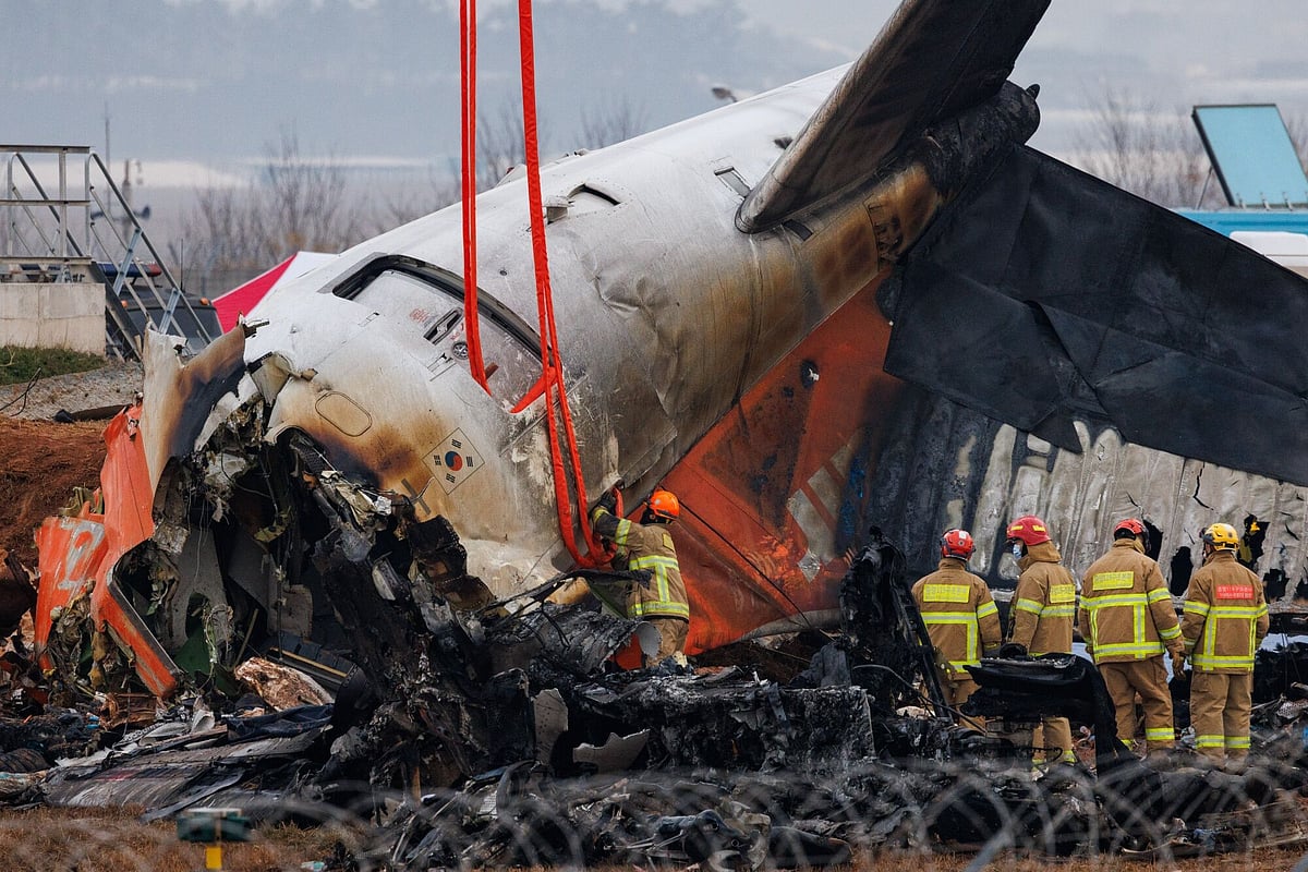 The South Korea air crash that killed 179 poses bird-strike mystery