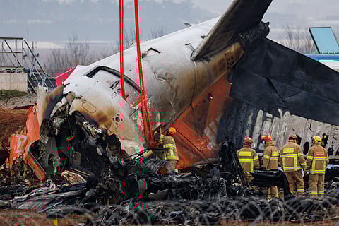The South Korea air crash that killed 179 poses bird-strike mystery