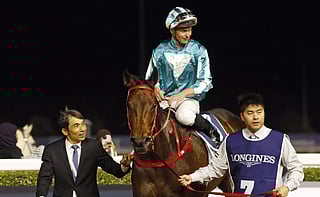 Dubai World Cup 2025: Past champions and rising stars among nominations