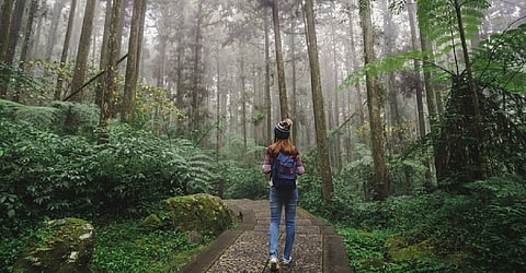 Every action we take impacts the environment. Being eco-friendly on your next trek can help minimise your carbon footprint
