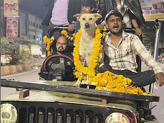 Ludo Bhai’s grand birthday: Stray dog gets a celebration fit for a king!