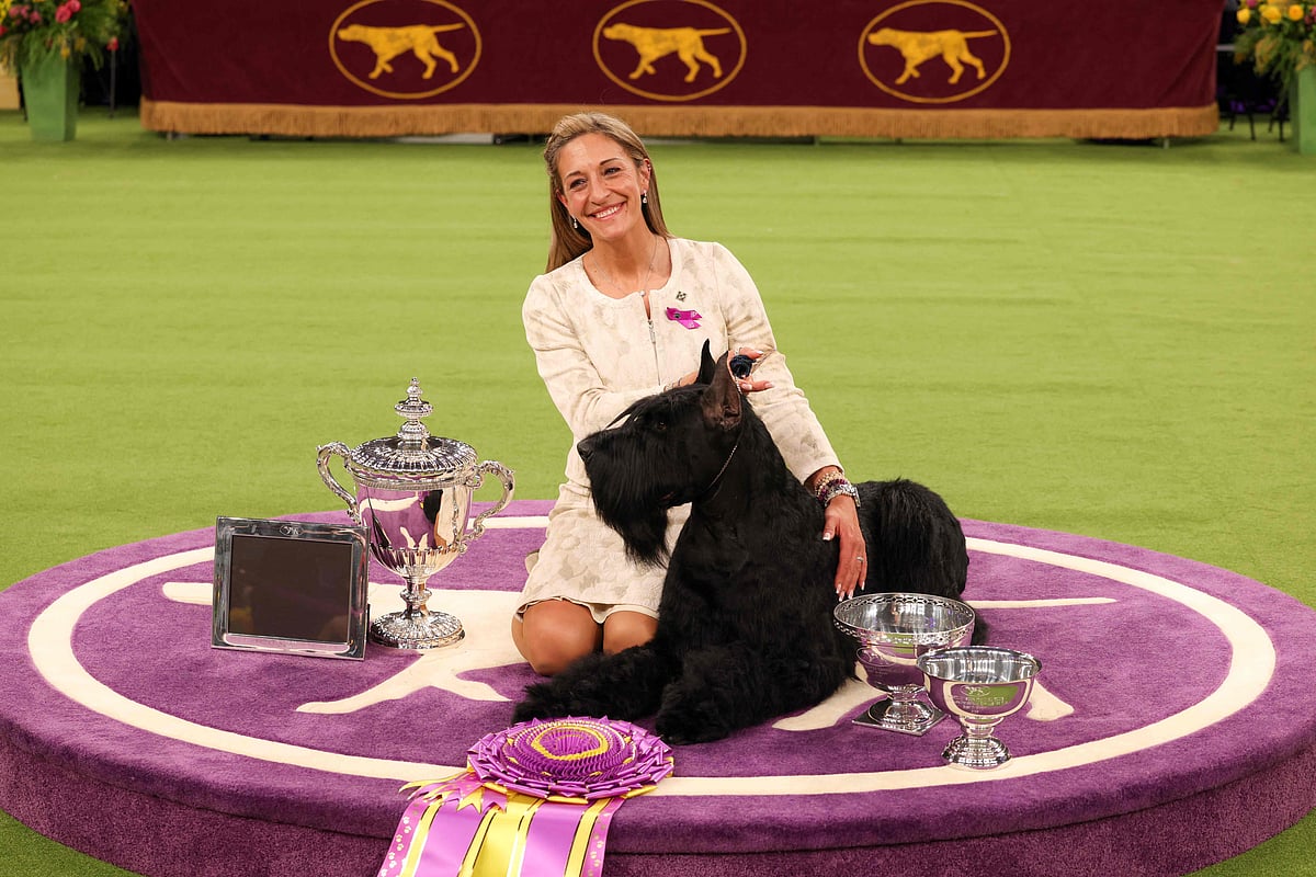 Monty, a Giant Shnauzer, winner of Best in Show, and its owner Katie Bernardin.