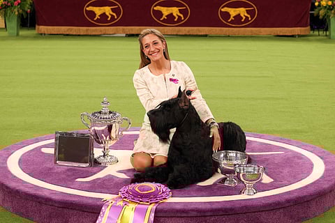 Monty, a Giant Shnauzer, winner of Best in Show, and its owner Katie Bernardin.